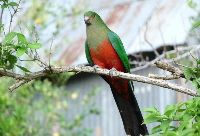 Brentwood Accommodation B&b Apartments   Yarra Valley