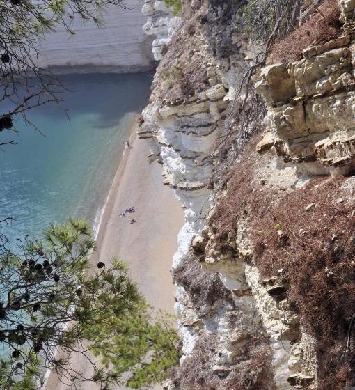 Camping Apartment Vignanotica