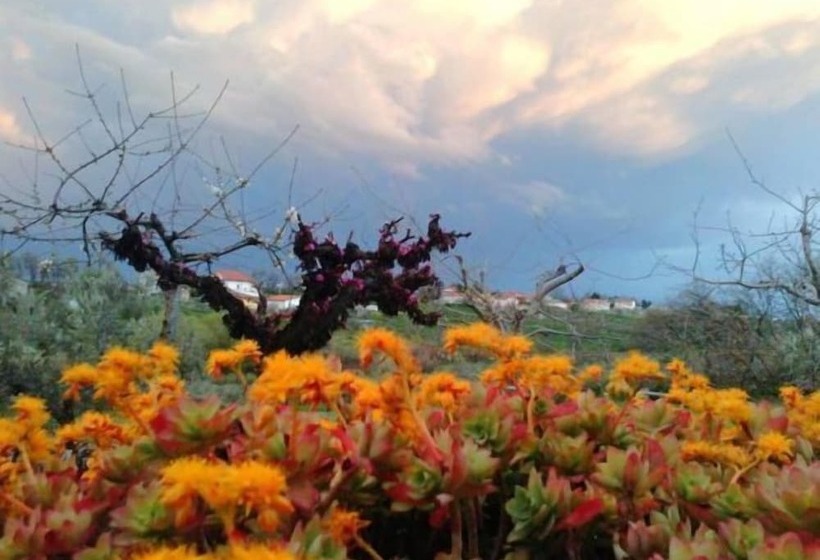 호텔 Angelucci Agriturismo Con Camere E Agri Camping