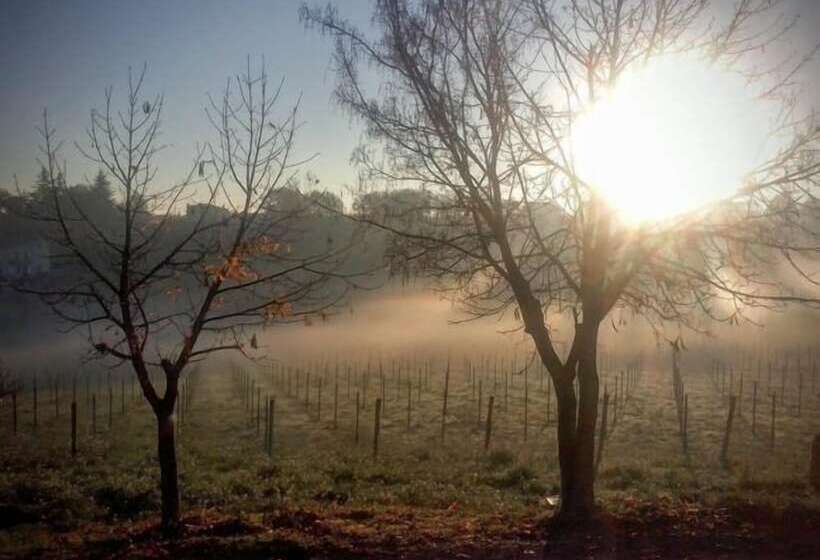 Отель Angelucci Agriturismo Con Camere E Agri Camping