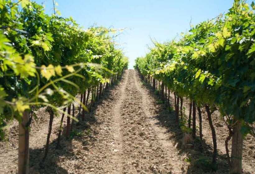 호텔 Angelucci Agriturismo Con Camere E Agri Camping