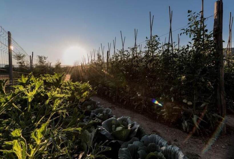 هتل Agriturismo La Torricella