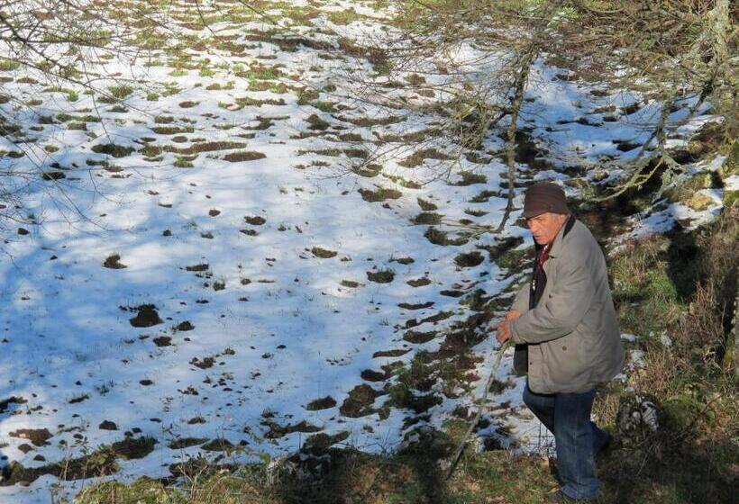 酒店 Agriturismo Monte Sacro