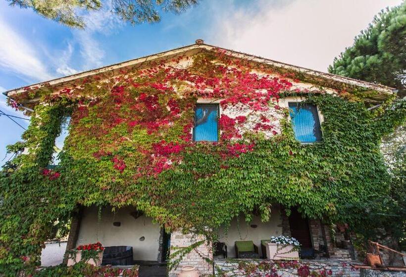 בית מלון כפרי Pieve Del Castello