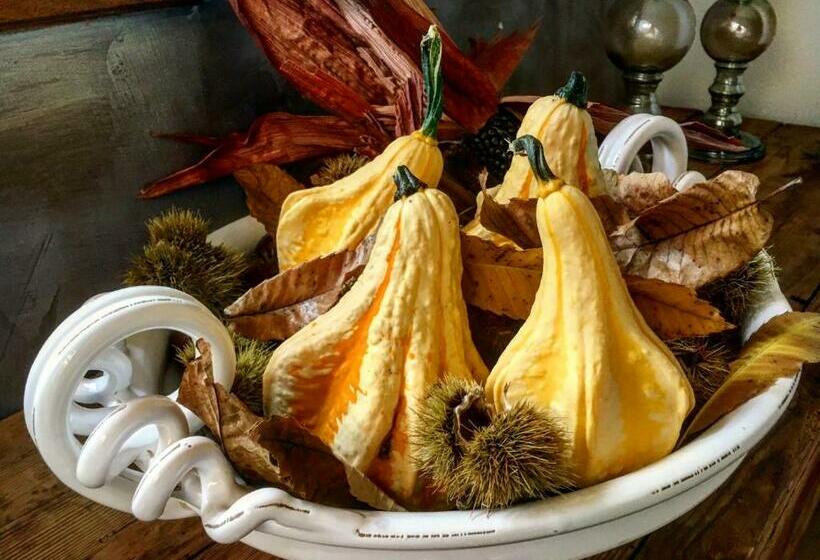 בית מלון כפרי Agriturismo Treterre