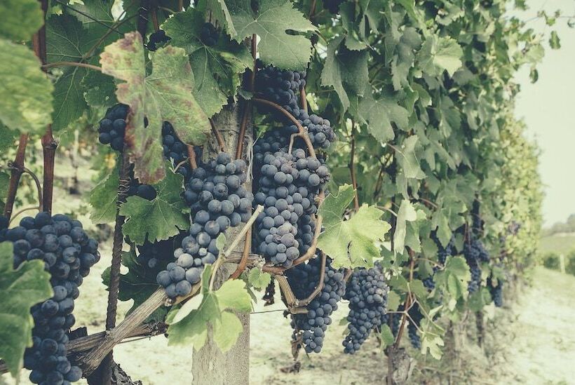 فندق Casa Ressia