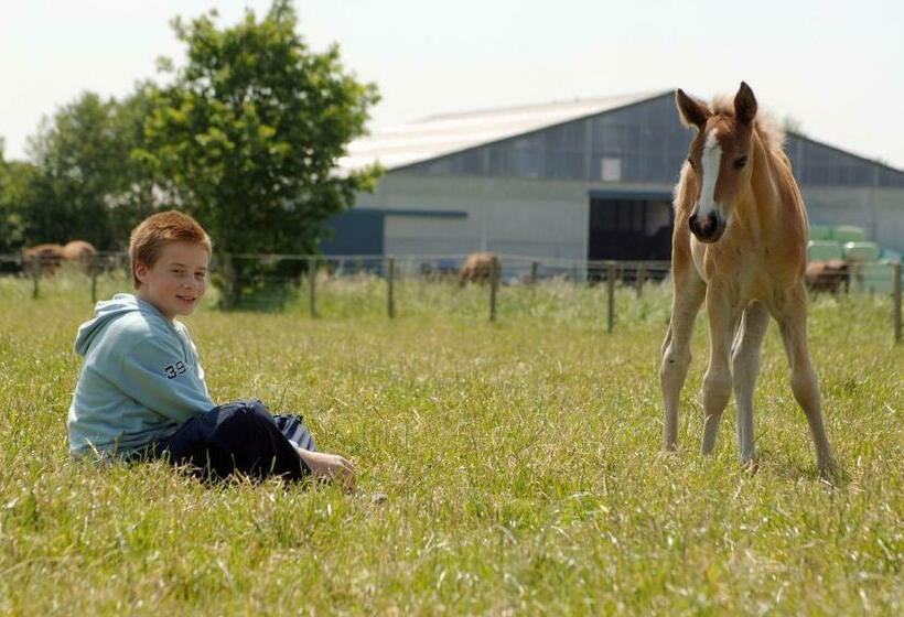 Отель Filippus Vakantiehoeve