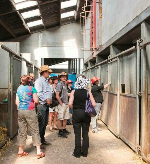 Отель Filippus Vakantiehoeve