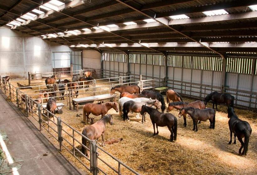 Отель Filippus Vakantiehoeve