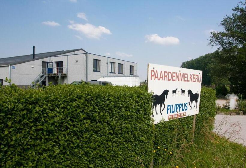 Отель Filippus Vakantiehoeve