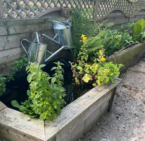 בית מלון כפרי Highfields Farm B&b