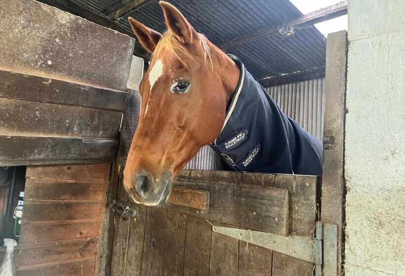 בית מלון כפרי Highfields Farm B&b