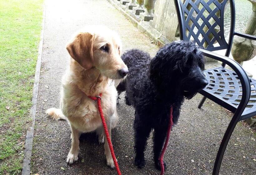 בית מלון כפרי Highfields Farm B&b