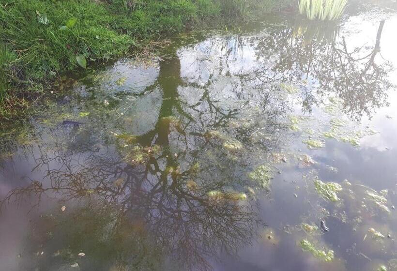 בית מלון כפרי Highfields Farm B&b