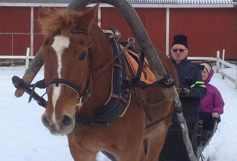 호텔 Ilola Maatilamatkailu