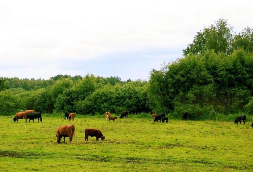 호텔 Ilola Maatilamatkailu