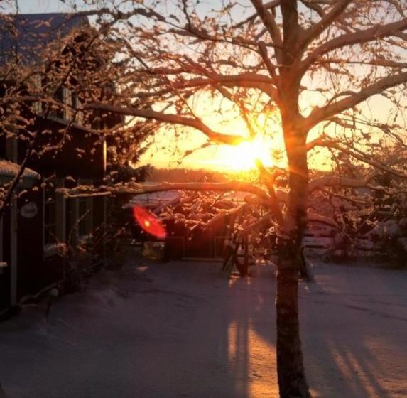 호텔 Ilola Maatilamatkailu