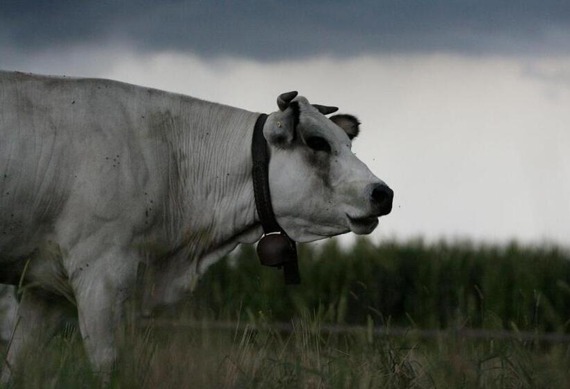 בית מלון כפרי Le Soleil