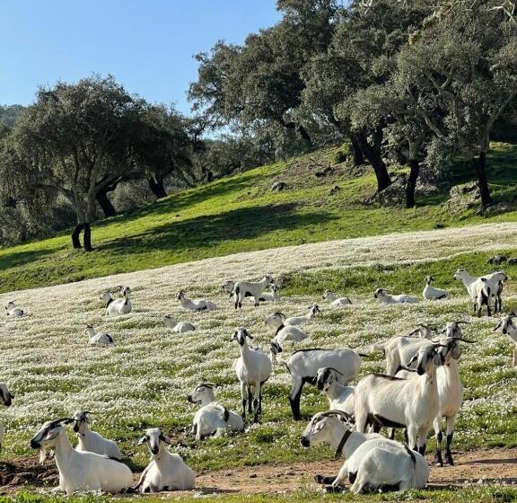 هتل Monte Dos Pensamentos   Turismo Rural
