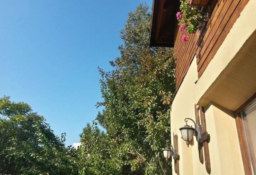 پانسیون B&b Casa Mica Guesthouse