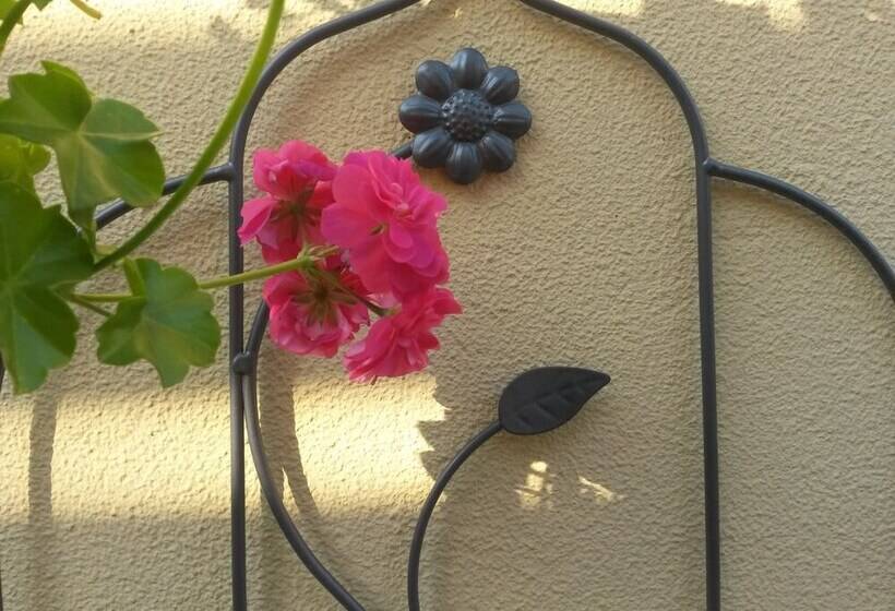 پانسیون B&b Casa Mica Guesthouse