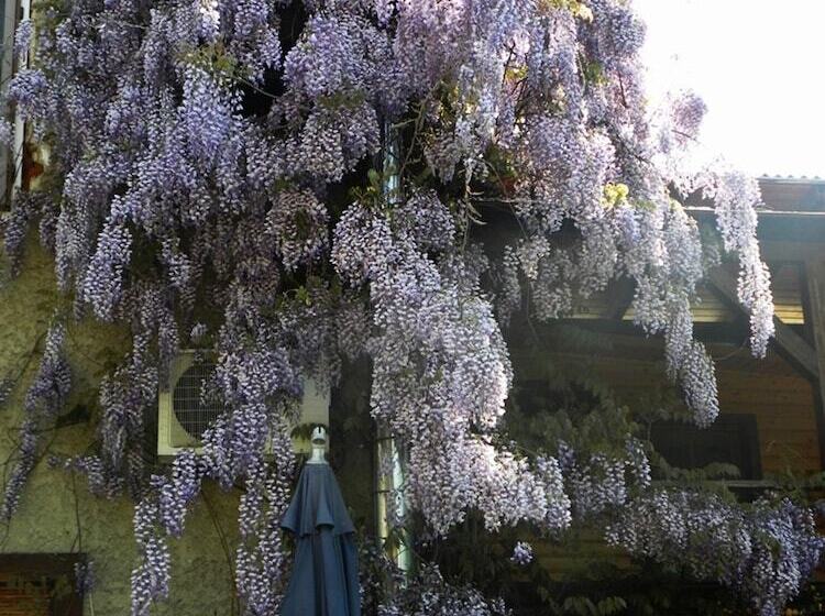 پانسیون B&b Casa Mica Guesthouse