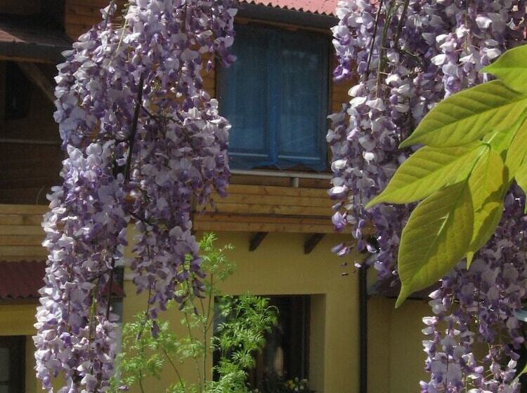 پانسیون B&b Casa Mica Guesthouse