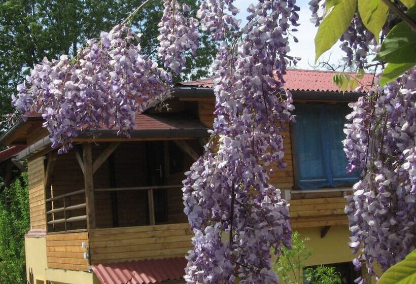 پانسیون B&b Casa Mica Guesthouse