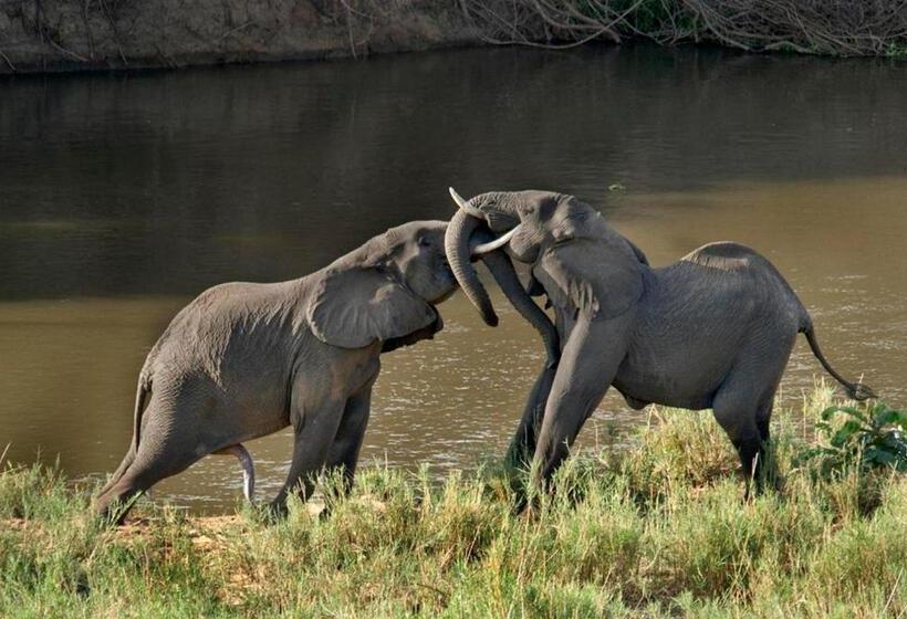 膳宿费 Belvedereonriver