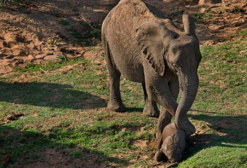膳宿费 Belvedereonriver