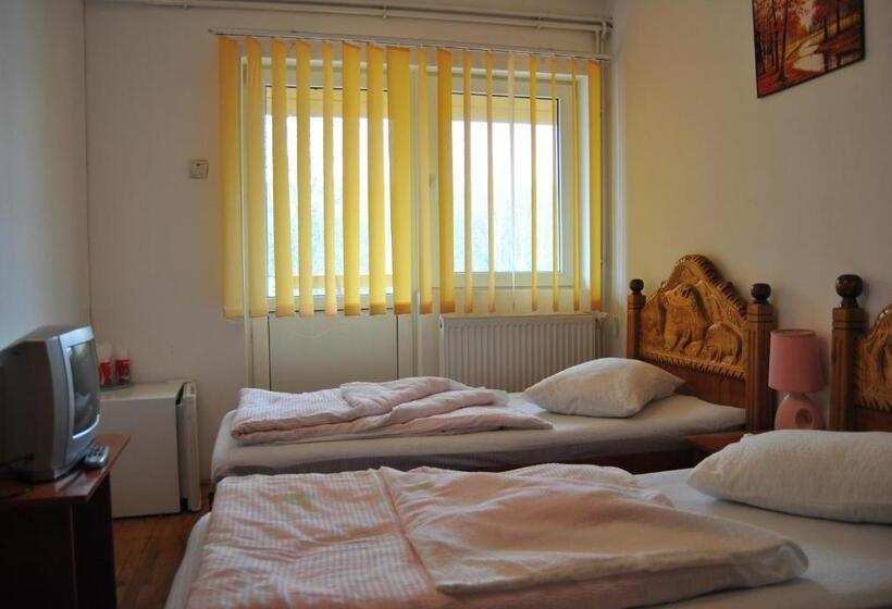 פנסיון Cabana Popasul Haiducilor