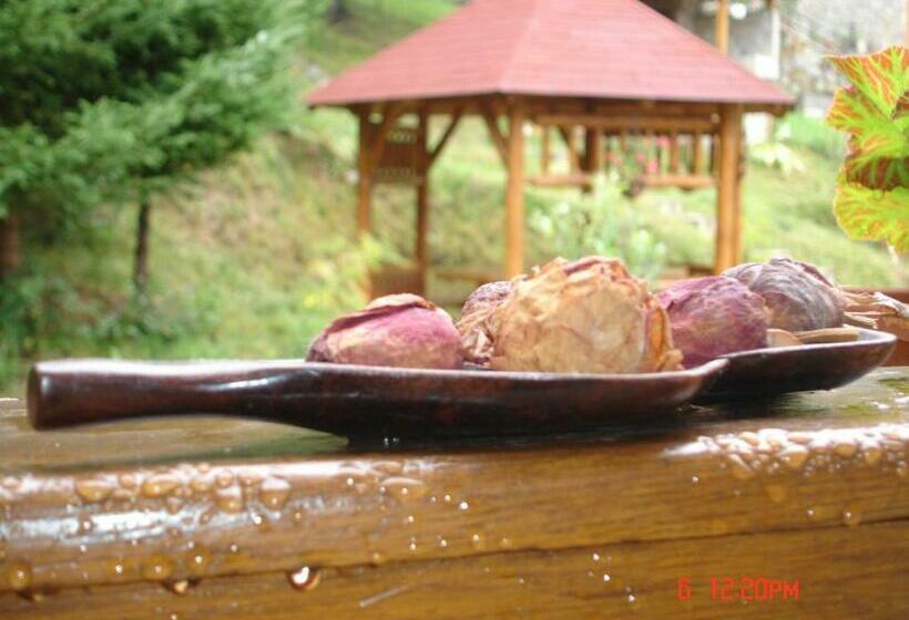 ペンション Casa Anca Boutique