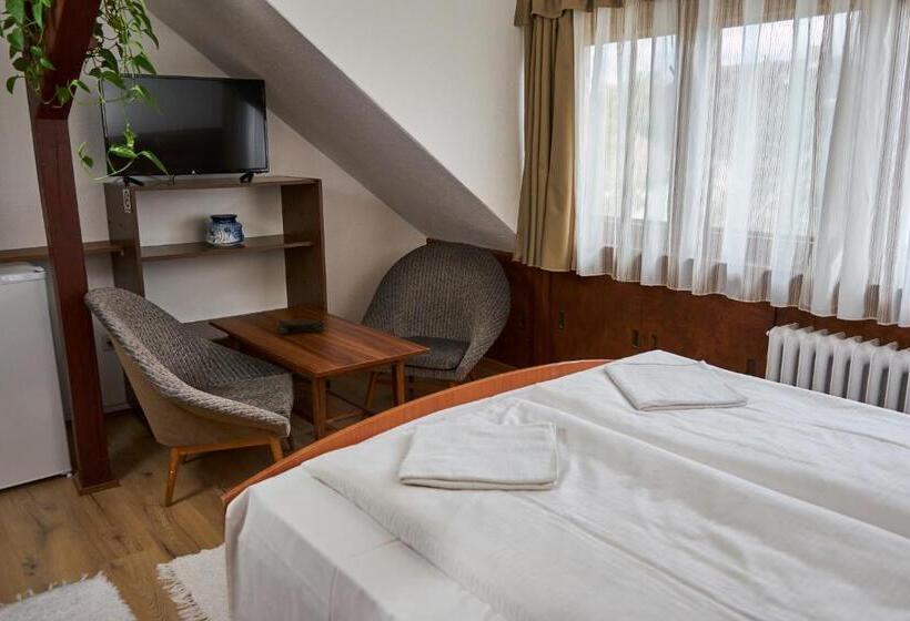 پانسیون Erika Vendégház