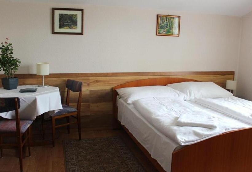 پانسیون Erika Vendégház