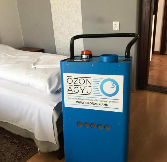 پانسیون Erika Vendégház