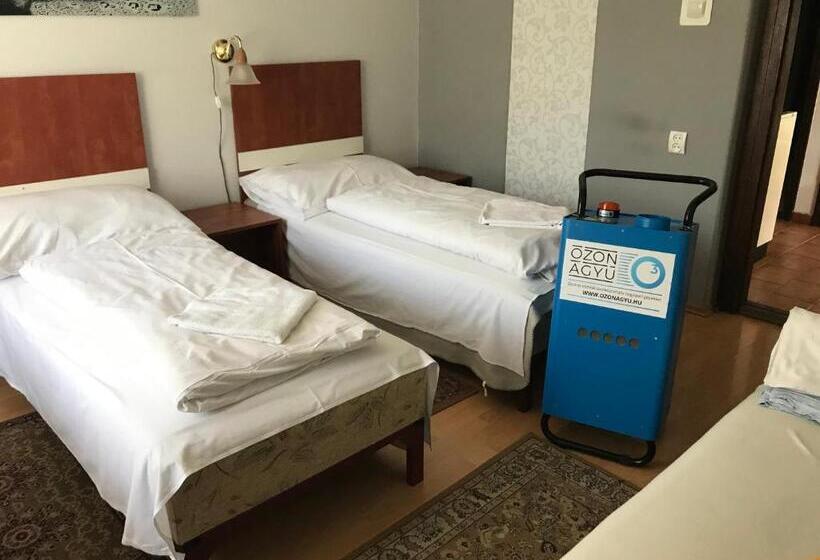 پانسیون Erika Vendégház