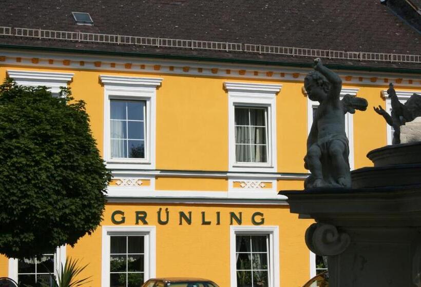 פנסיון Gasthof Grünling