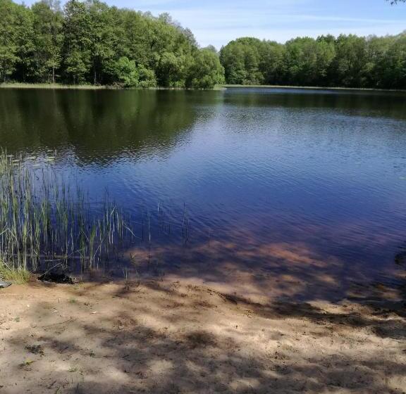 پانسیون Griežto 5