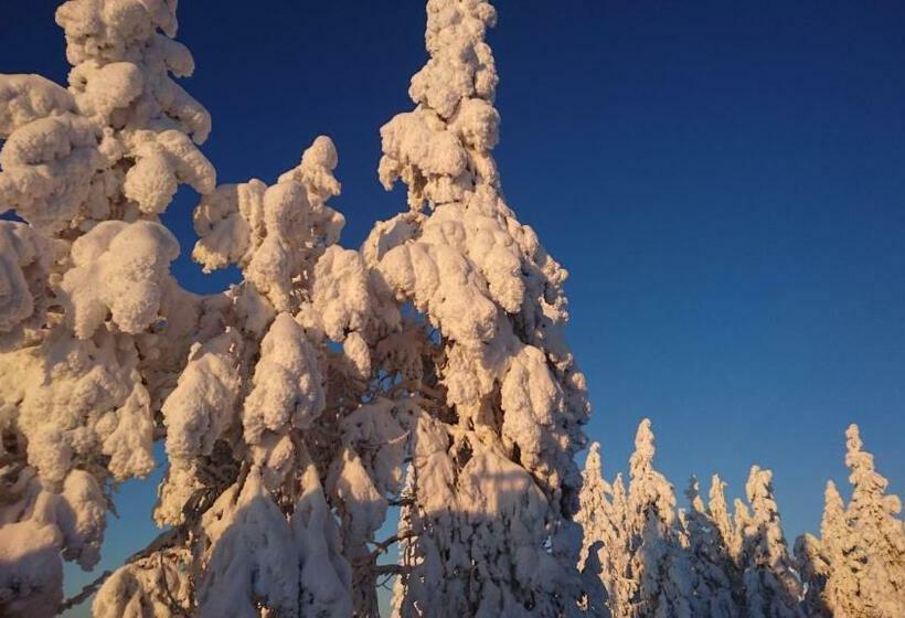 פנסיון Guesthouse Golden Goose