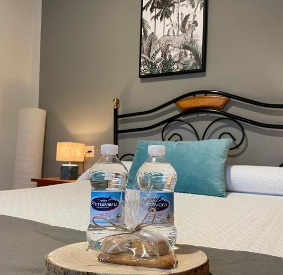 ペンション Hostal Paulino