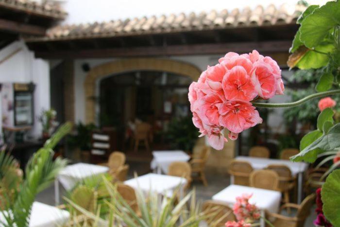 ペンション Hostal Torre De Guzmán