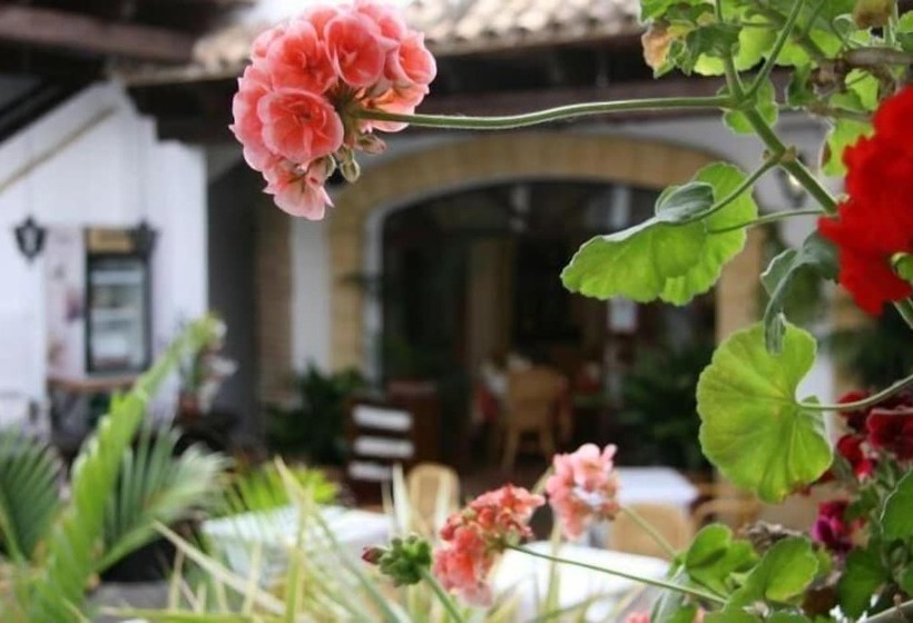 ペンション Hostal Torre De Guzmán