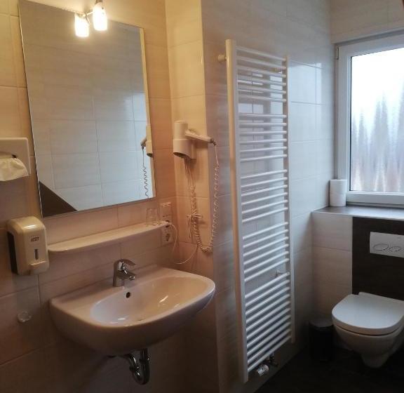 פנסיון Landhotel Vosse Schepers