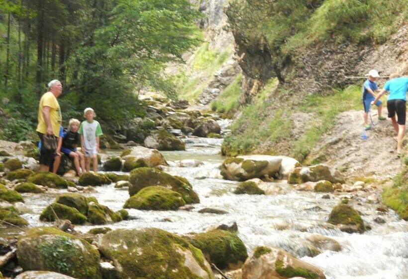 膳宿费 Landgasthof Pfarrwirt