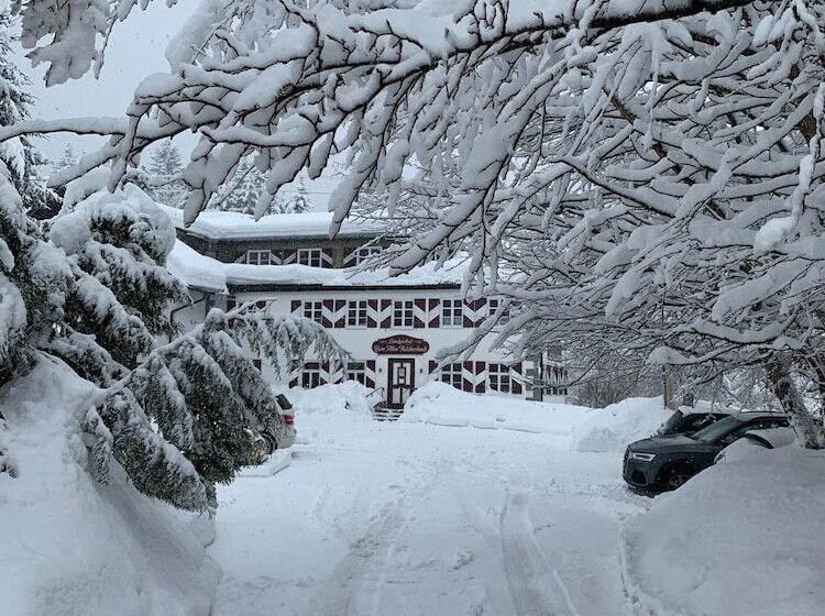 پانسیون Landgasthof Zum Alten Reichenbach