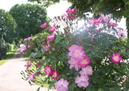 膳宿费 Le Four à Pain   Chambres D Hôtes