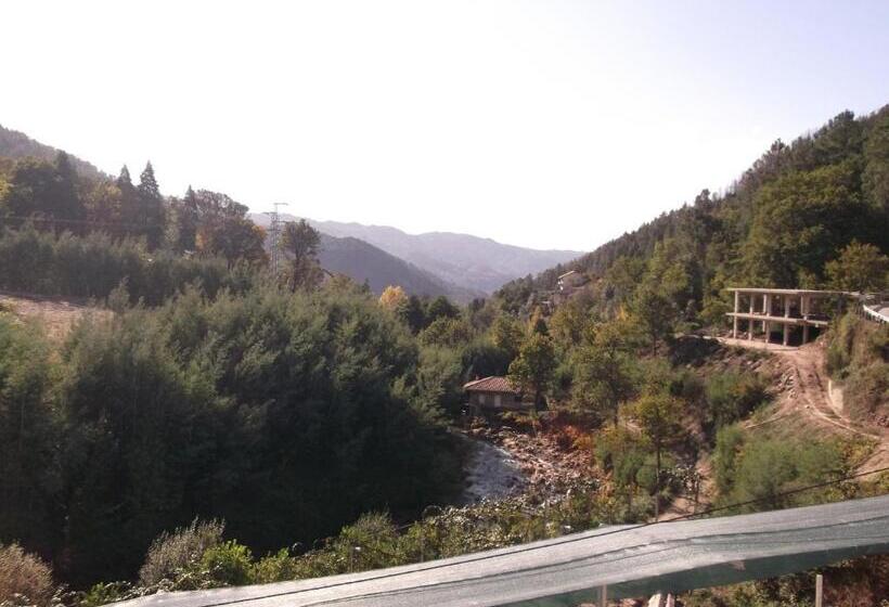 ペンション O Pimpao