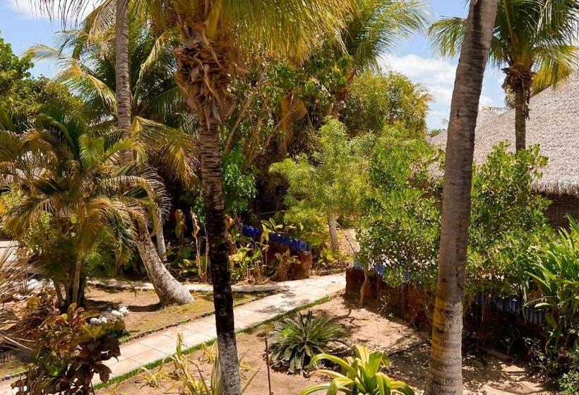 פנסיון Ocas Do índio Hotel Spa