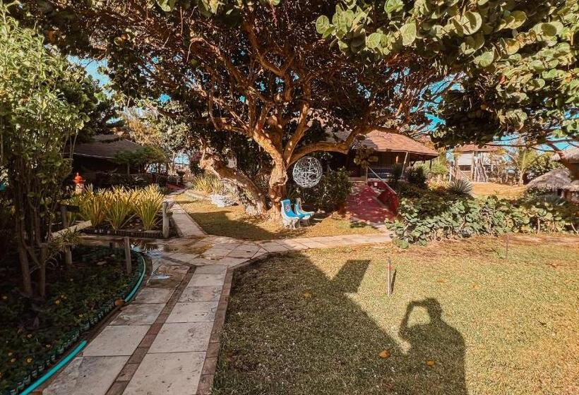 بنسيون Ocas Do índio Hotel Spa