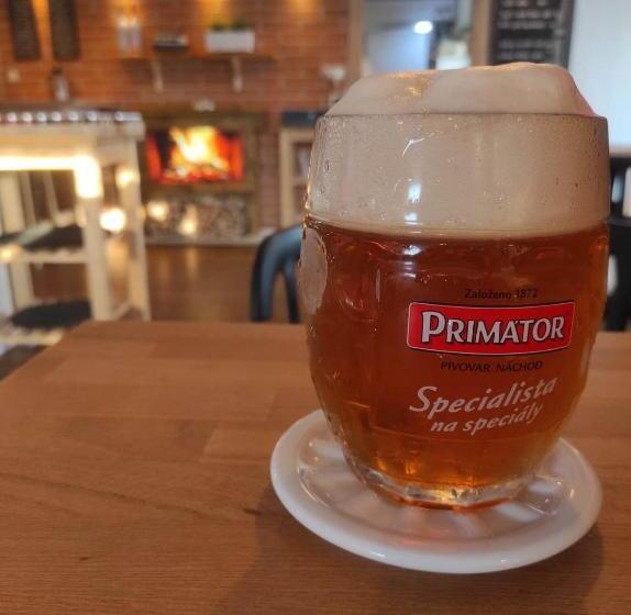 פנסיון Penzion Adler